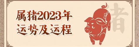 1995属猪2024年运程|1995年属猪人2024年运势及运程男，95年29岁生肖。